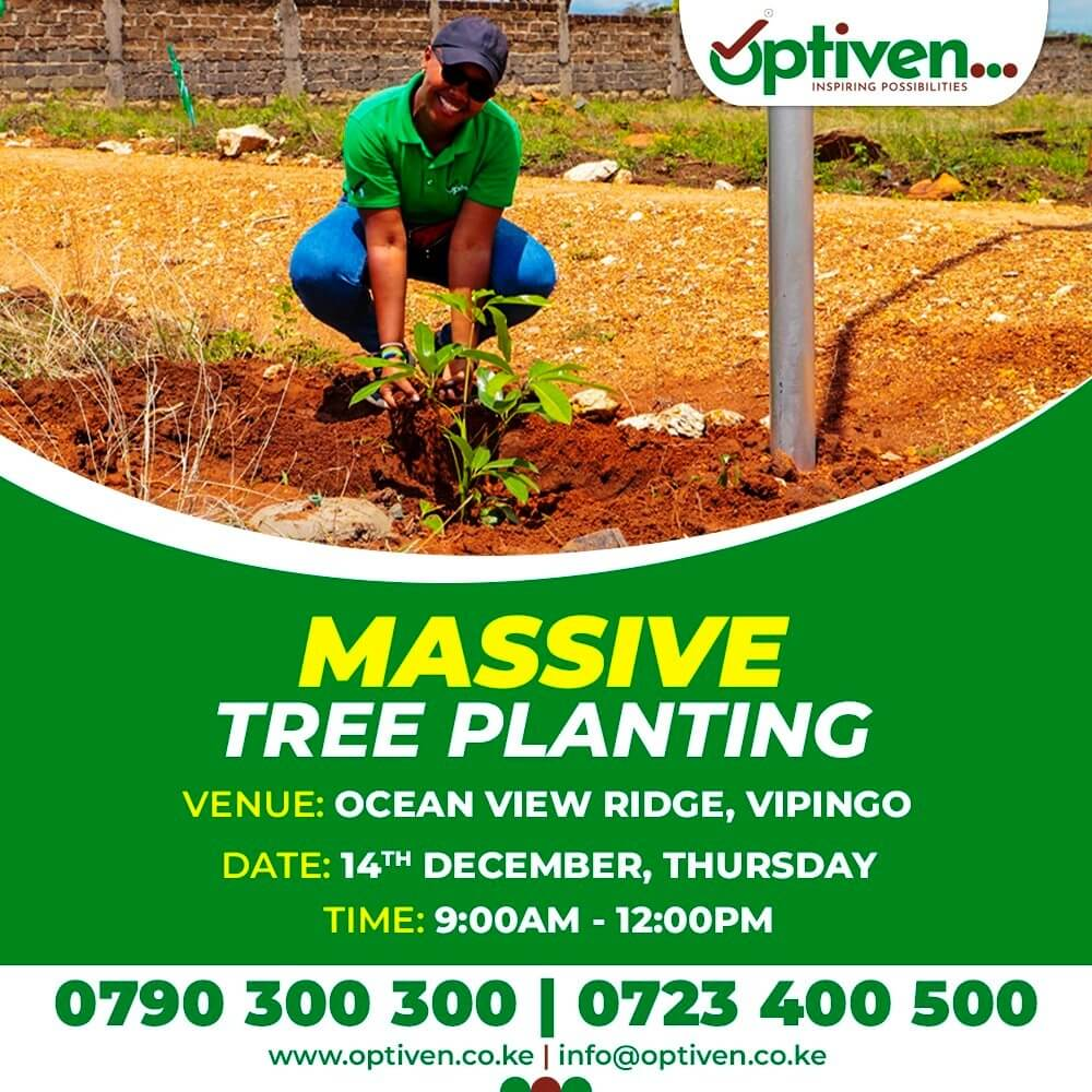 Optiven CEO's Environmental Vision: Tree Planting Gala at Vipingo