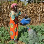 Kitchen Gardens as a Lifeline in Kenya’s Drylands